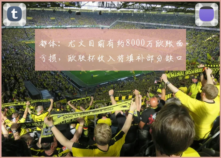 都体：尤文目前有约8000万欧账面亏损，欧联杯收入将填补部分缺口
