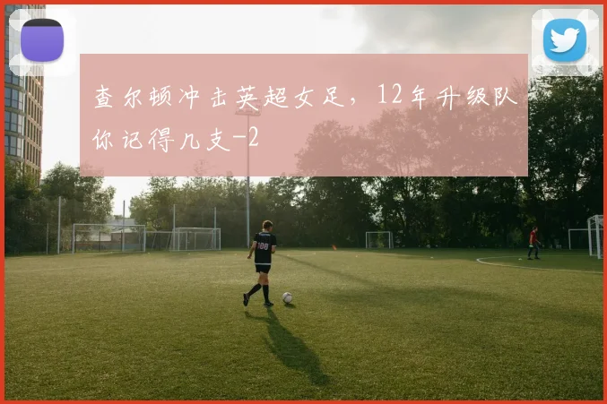 查尔顿冲击英超女足,12年升级队你记得几支