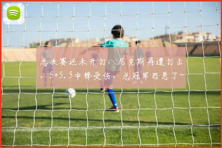 总决赛还未开打,尼克斯再遭打击,5+5.5中锋受伤,总冠军恐悬了